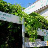 1907G 056 Mosel und Rhein